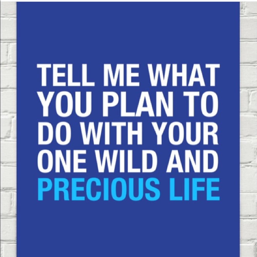 Tell me what you plan to do